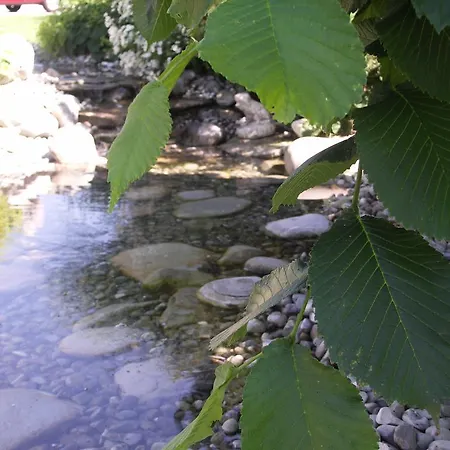 Penzion Ranak *